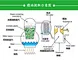 Raspberry Ketone